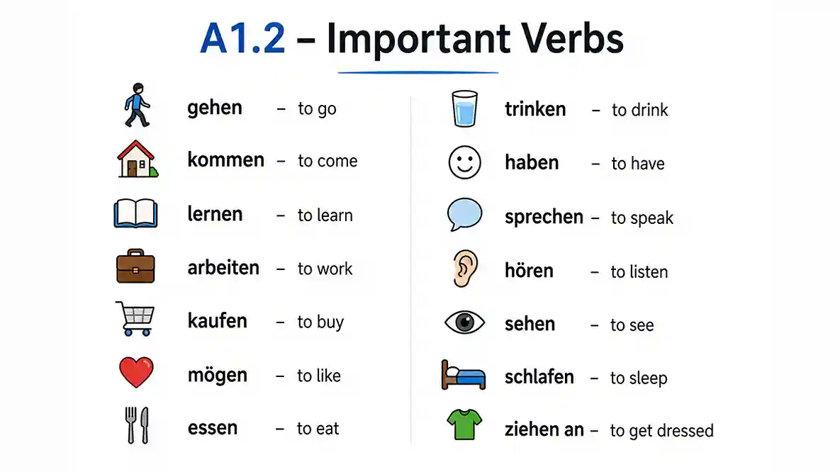 Top 40 Essential Verbs for German Level A1.2